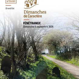 Randonnée et visite guidée à Fénétrange : À l'heure de l'envol