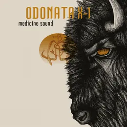 Medicine Sound : le nouvel album d'Odonata X-1, le groupe doom-rock de Limoges