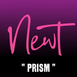Prism, le nouvel EP du groupe Newt de Chambéry