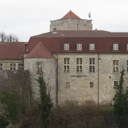 Visite guidée de l'ancien Palais des comtes de Champagne à Chaumont