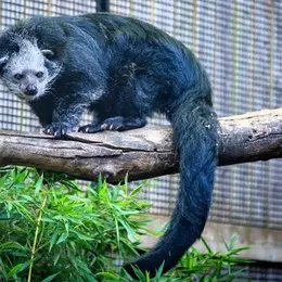 Les Journées de la conservation au Zoo de Lille