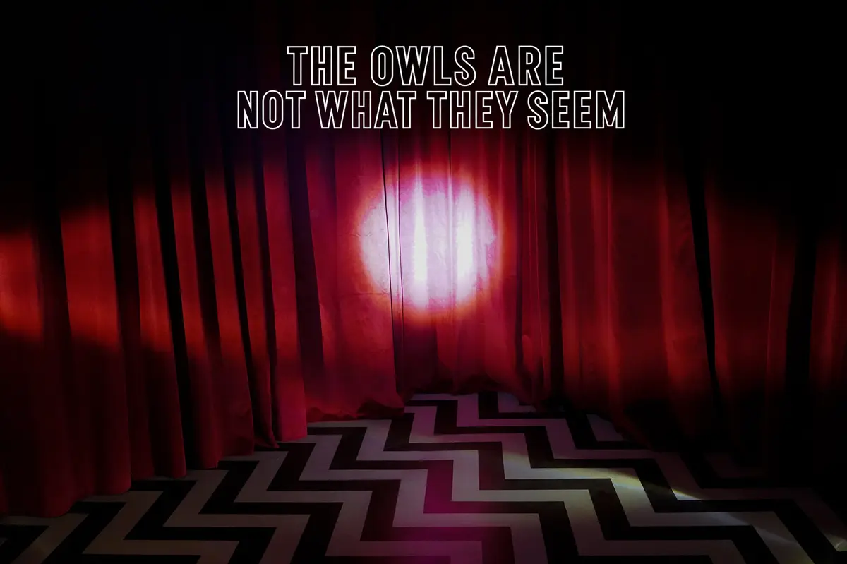 Exposition The Owls Are Not What They Seem à la Galerie Rue Antoine à Paris
