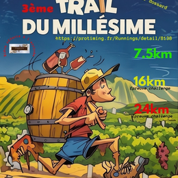 Trail du Millésime à Saint-Laurent-d'Arce : une course nature en Gironde