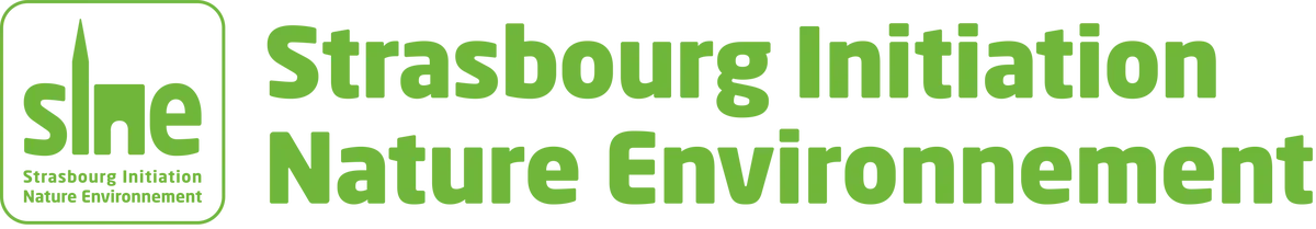 Exposition de dessins et peintures de Marie-Amélie Germain à Strasbourg