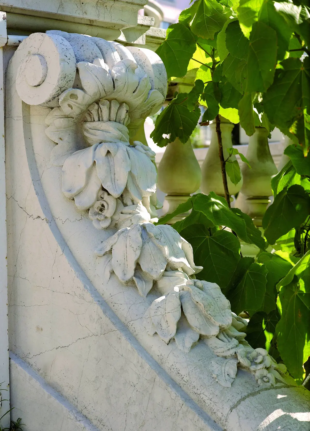 Visite guidée du patrimoine végétal de la villa Masséna à Nice