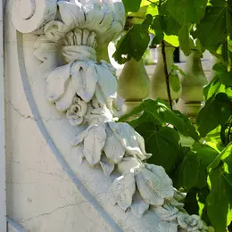 Visite guidée du patrimoine végétal de la villa Masséna à Nice
