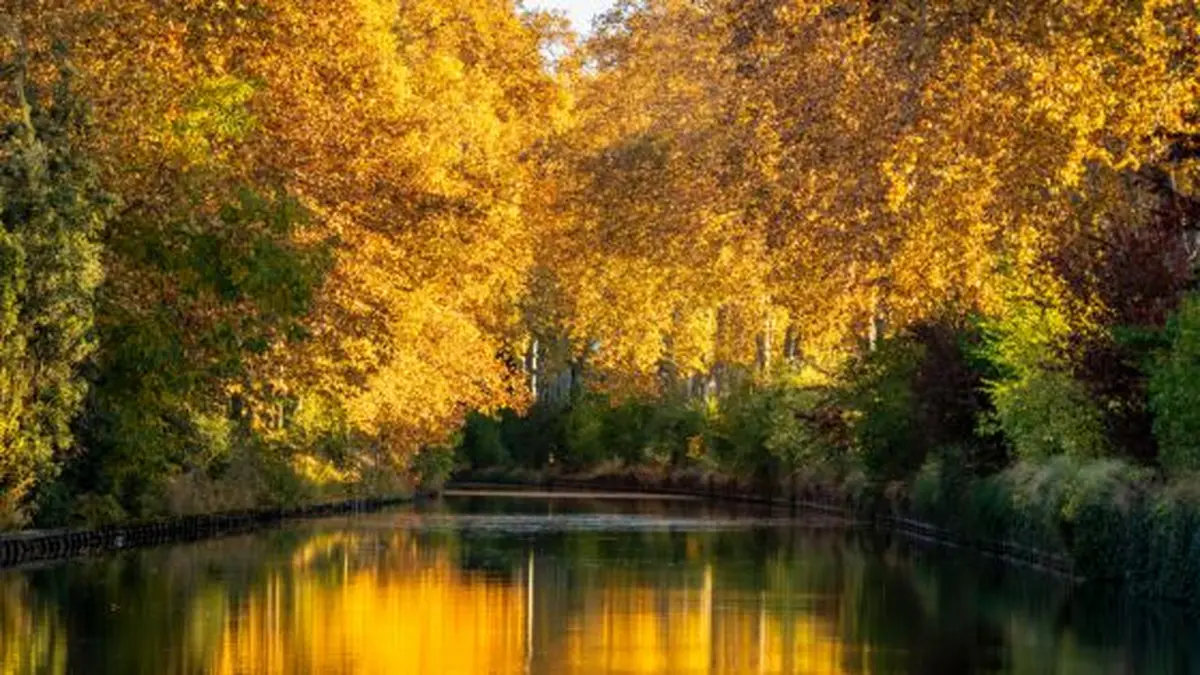 Les 30 ans du canal du Midi à l'Unesco célébrés à Toulouse