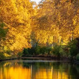 Les 30 ans du canal du Midi à l'Unesco célébrés à Toulouse