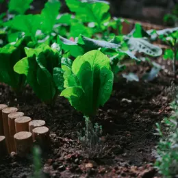 Atelier permaculture sur la gestion de la biomasse à la Maison de l'Environnement de Nice
