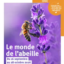 Exposition sur le monde de l'abeille à la Maison de l'Environnement de Nice