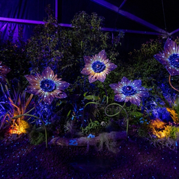 Street Flore, le jardin de street art floral au cœur de Folie'Flore