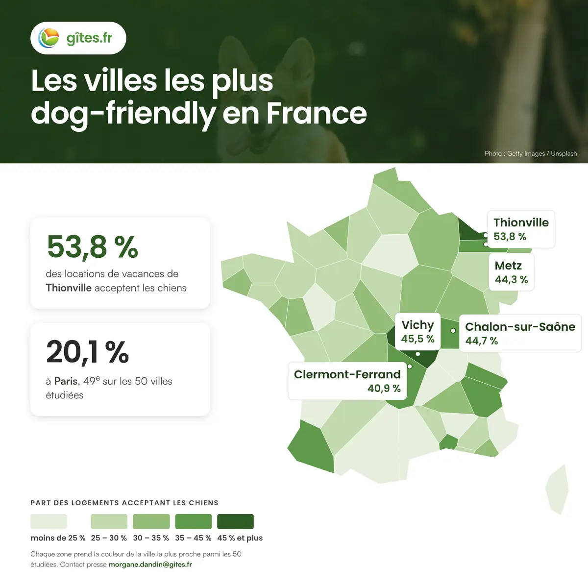 Les villes françaises les plus dog-friendly pour partir en vacances avec son chien