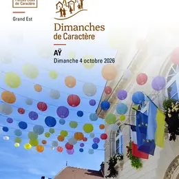 Visite guidée à Aÿ : découvrez l'art caché derrière les cours secrètes