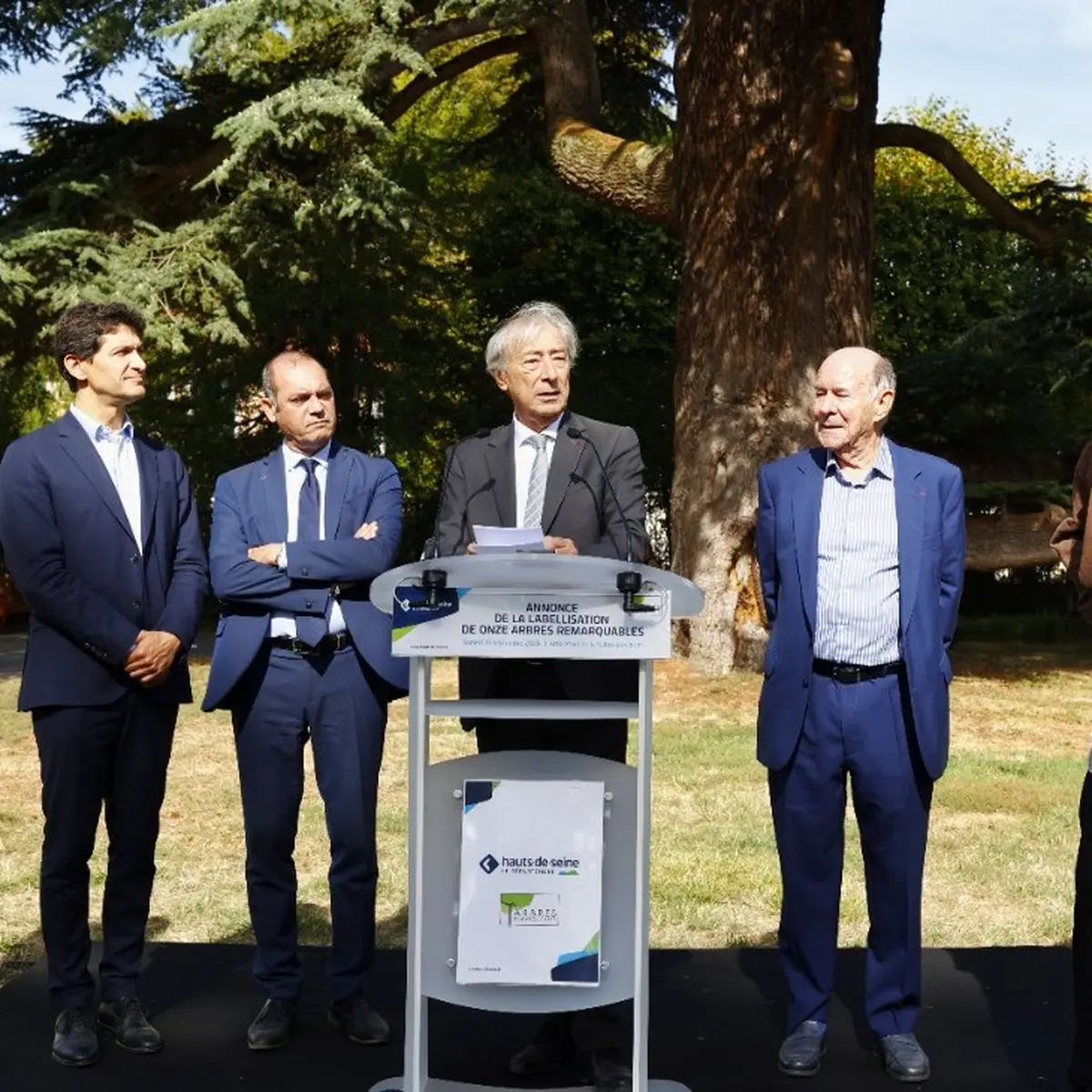 Onze arbres remarquables labellisés dans les Hauts-de-Seine
