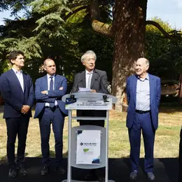 Onze arbres remarquables labellisés dans les Hauts-de-Seine