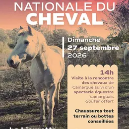 Fête nationale du cheval à Hyères : visite et spectacle équestre à la Lieurrette