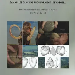 Quand les glaciers recouvraient les Vosges : un livre sur le Paléolithique du massif vosgien