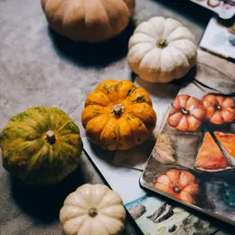 Atelier aquarelle à la Maison de l'Environnement de Nice : peignez des cucurbitacés en automne