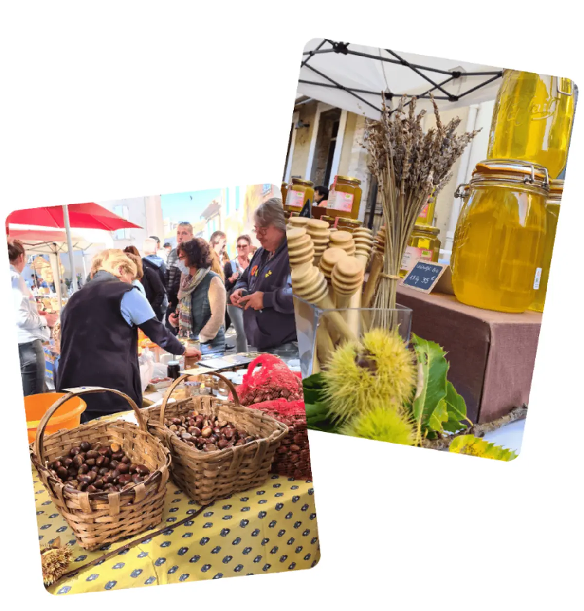 Fête de la Châtaigne à Cogolin : marché gourmand et produits du terroir
