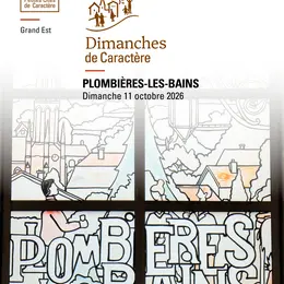 Visite guidée des vitraux de Plombières-les-Bains : Lumière & savoir-faire