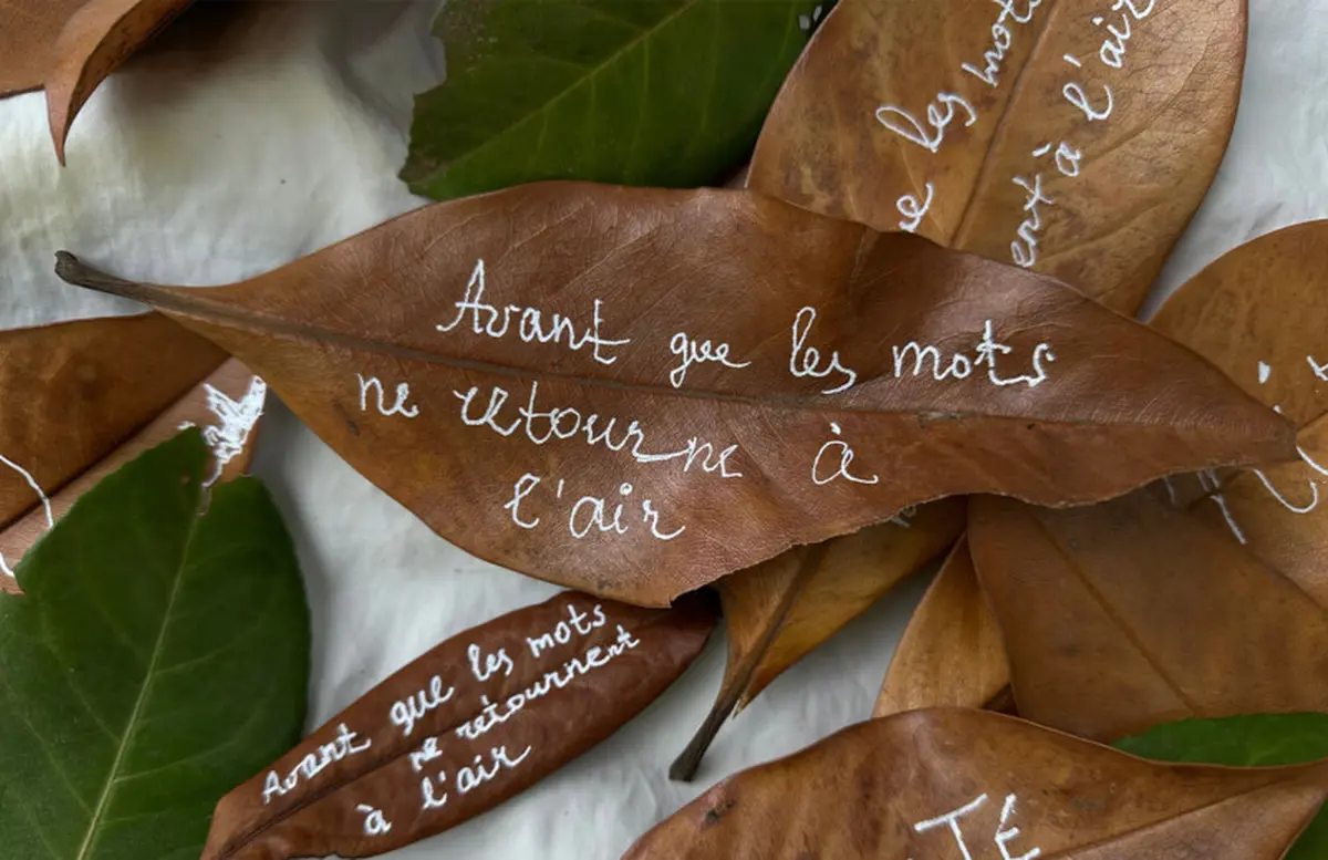 Avant que les mots ne retournent à l'air : un parcours performatif dans les rues de Lyon