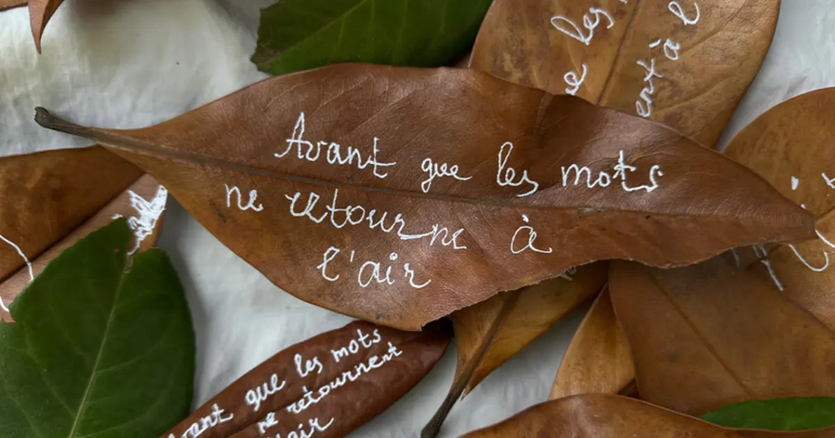Avant que les mots ne retournent à l'air : un parcours performatif dans les rues de Lyon
