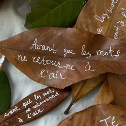 Avant que les mots ne retournent à l'air : un parcours performatif dans les rues de Lyon