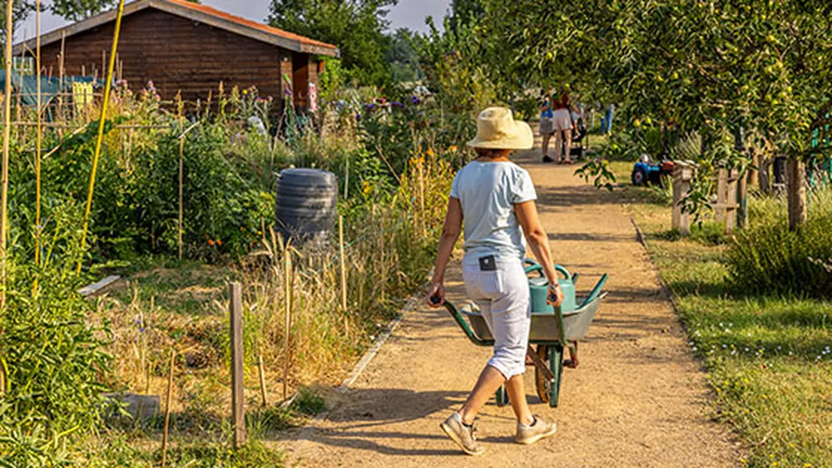 Portes ouvertes dans les jardins partagés de Toulouse