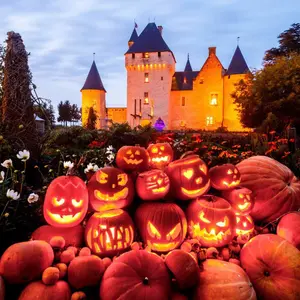 Activités en famille à Tours et en Touraine pour les vacances de la Toussaint