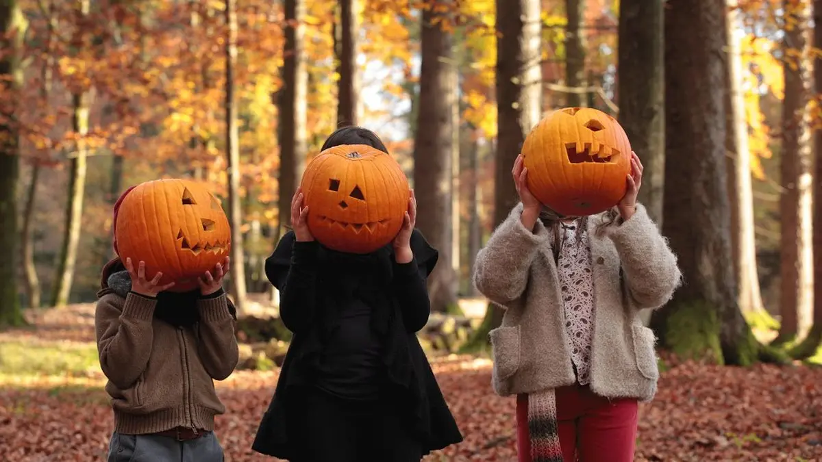 Activités en famille pendant les vacances d'automne à Rambouillet