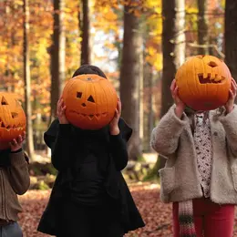 Activités en famille pendant les vacances d'automne à Rambouillet