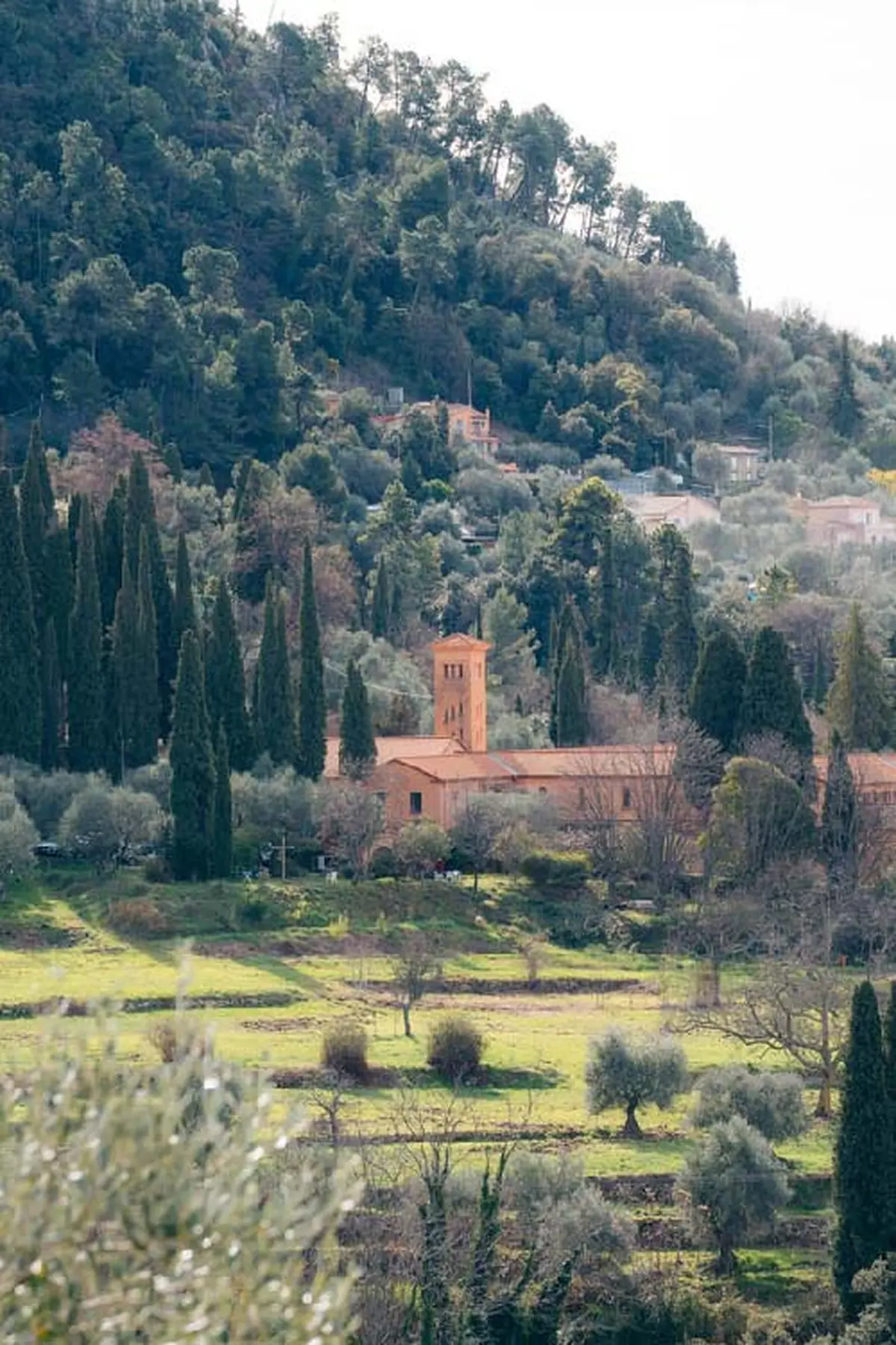 Castagniers, une escapade entre oliviers et abbaye cistercienne près de Nice