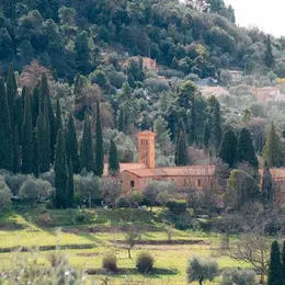 Castagniers, une escapade entre oliviers et abbaye cistercienne près de Nice