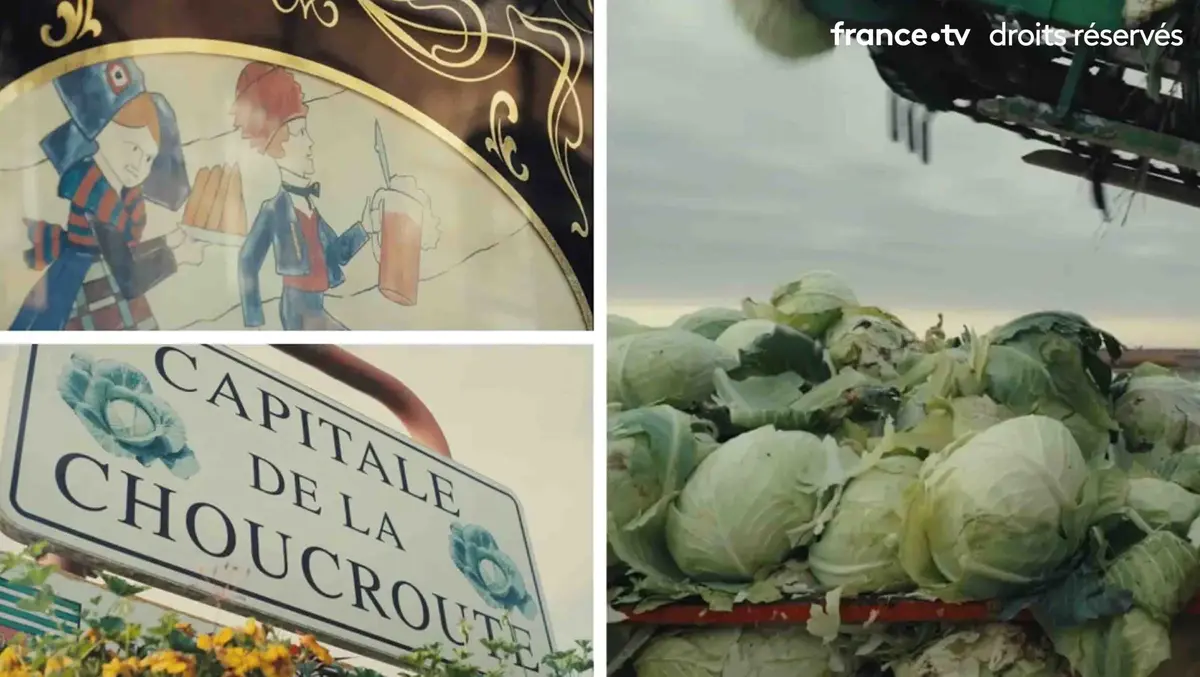 L'Odyssée de la choucroute : le documentaire inédit sur le plat emblématique d'Alsace