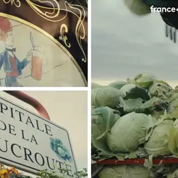 L'Odyssée de la choucroute : le documentaire inédit sur le plat emblématique d'Alsace
