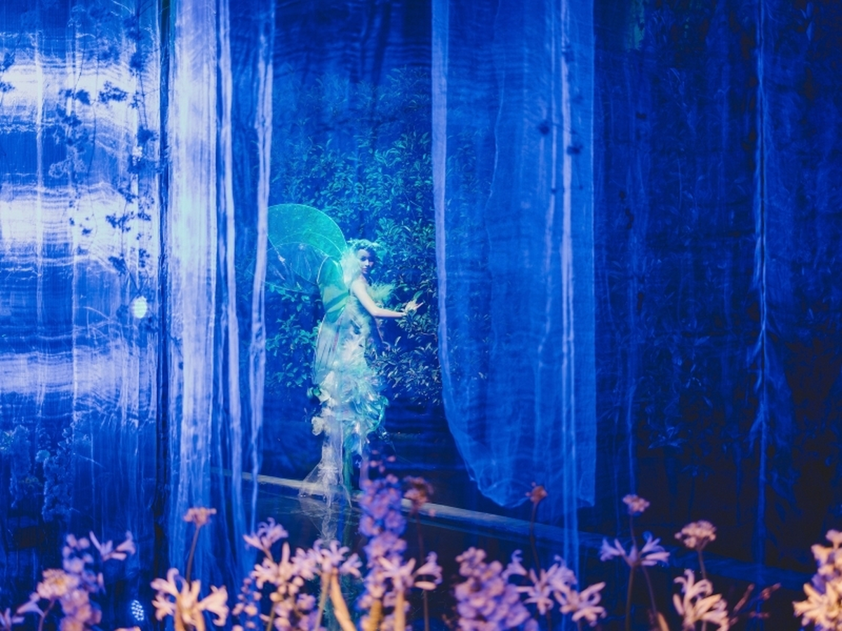 Le Ballet des Fées à Folie'Flore : une création florale signée Meilleur Ouvrier de France