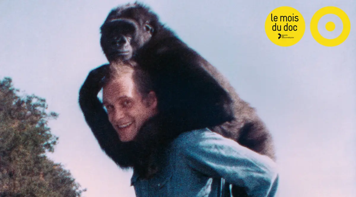 Ciné-club à la Cinémathèque de Nice : projection de Koko, le gorille qui parle