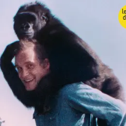 Ciné-club à la Cinémathèque de Nice : projection de Koko, le gorille qui parle