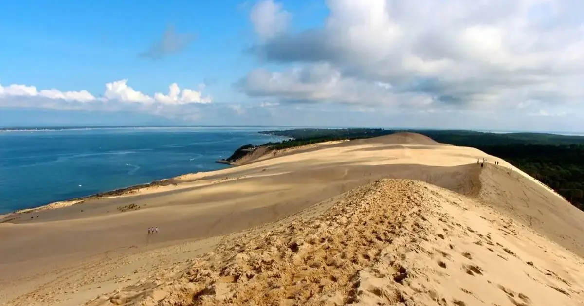 Le Bassin d'Arcachon depuis Bordeaux : dunes, huîtres et couchers de soleil à moins d'une heure
