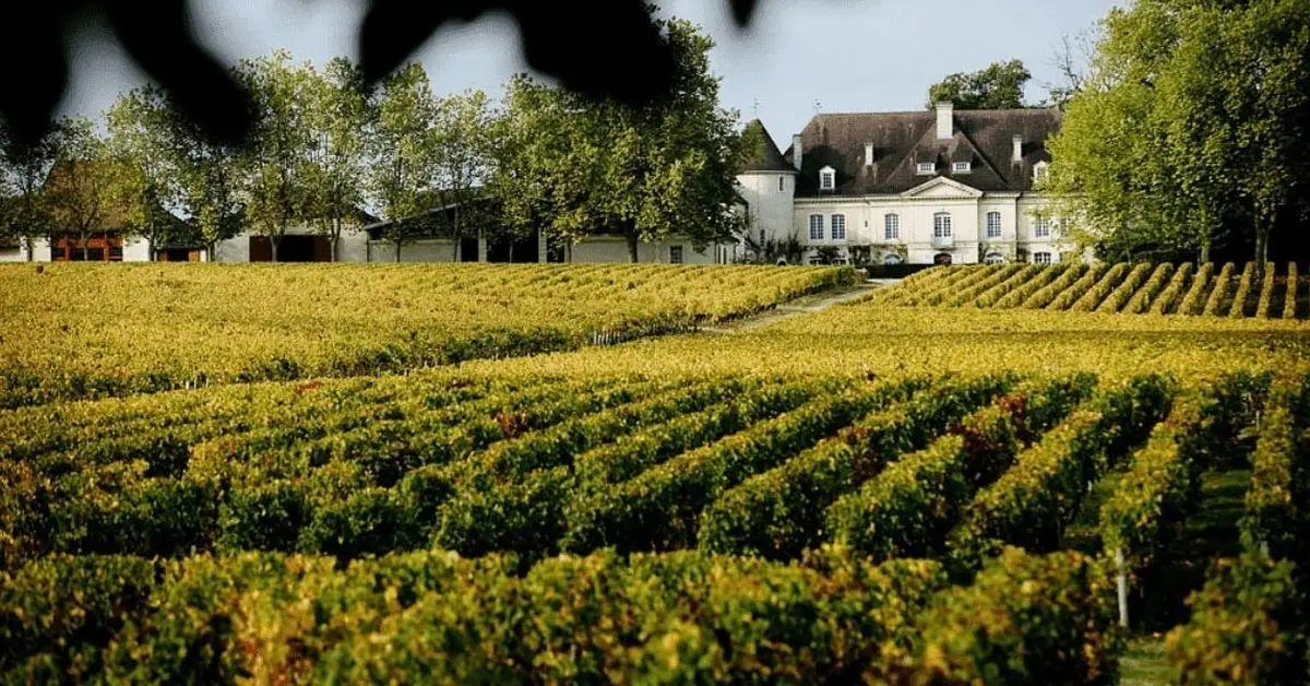 Dégustation de vins à Bordeaux : caves et vignobles à visiter en Gironde