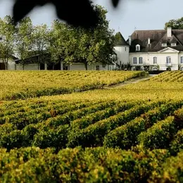 Dégustation de vins à Bordeaux : caves et vignobles à visiter en Gironde