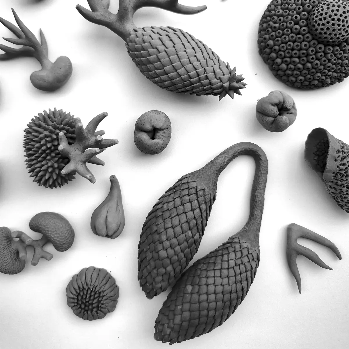 Exposition Faune et flore : une anatomie du vivant à la Galerie Virginie Baro d'Hendaye