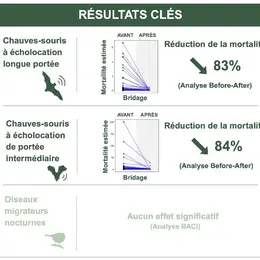 Chauves-souris et éoliennes : une étude du Muséum national d'Histoire naturelle démontre l'efficacité du bridage nocturne