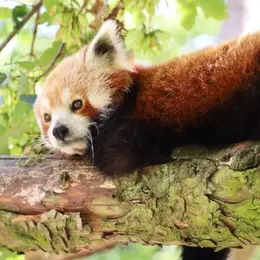 Animations pour enfants au Zoo de Lille pendant les vacances d'automne