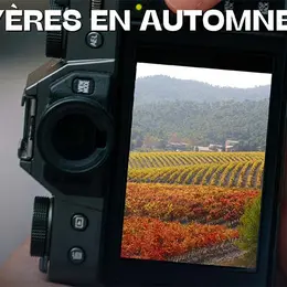 Concours photo à Hyères : capturez l'automne en images