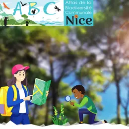 Conférence-atelier autour de l'olivier à la Maison de l'Environnement de Nice