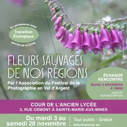 Exposition sur les fleurs sauvages de nos régions à Sainte-Marie-aux-Mines