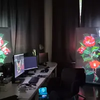 Camelliamania, une œuvre numérique de mapping vidéo au Château de la Neuenbourg à Guebwiller DR