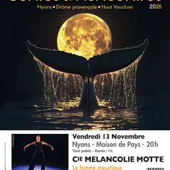Festival Contes et Rencontres - Mélancolie Motte - La Femme Moustique