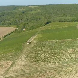20ème édition du Trail de Tanlay